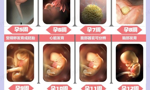 纹眉期间到底能不能抽烟网 - 为你提供纹眉之后可以出门吗、纹眉的时候可以化妆吗